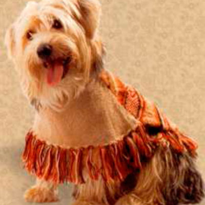 Poncho con Gorro