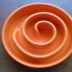Slow Bowl Mini Naranja - Imagen 2