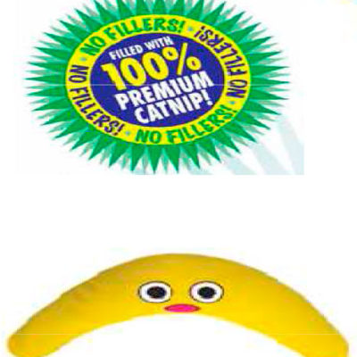 Boomerang Buddy