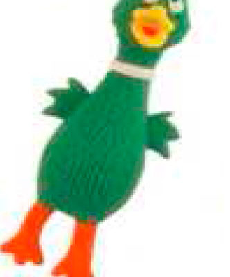 Zany Duck/Chicken